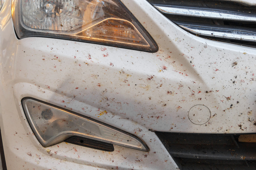 It Bugs Us Too! - Removing Bugs From Car Paint With Ease