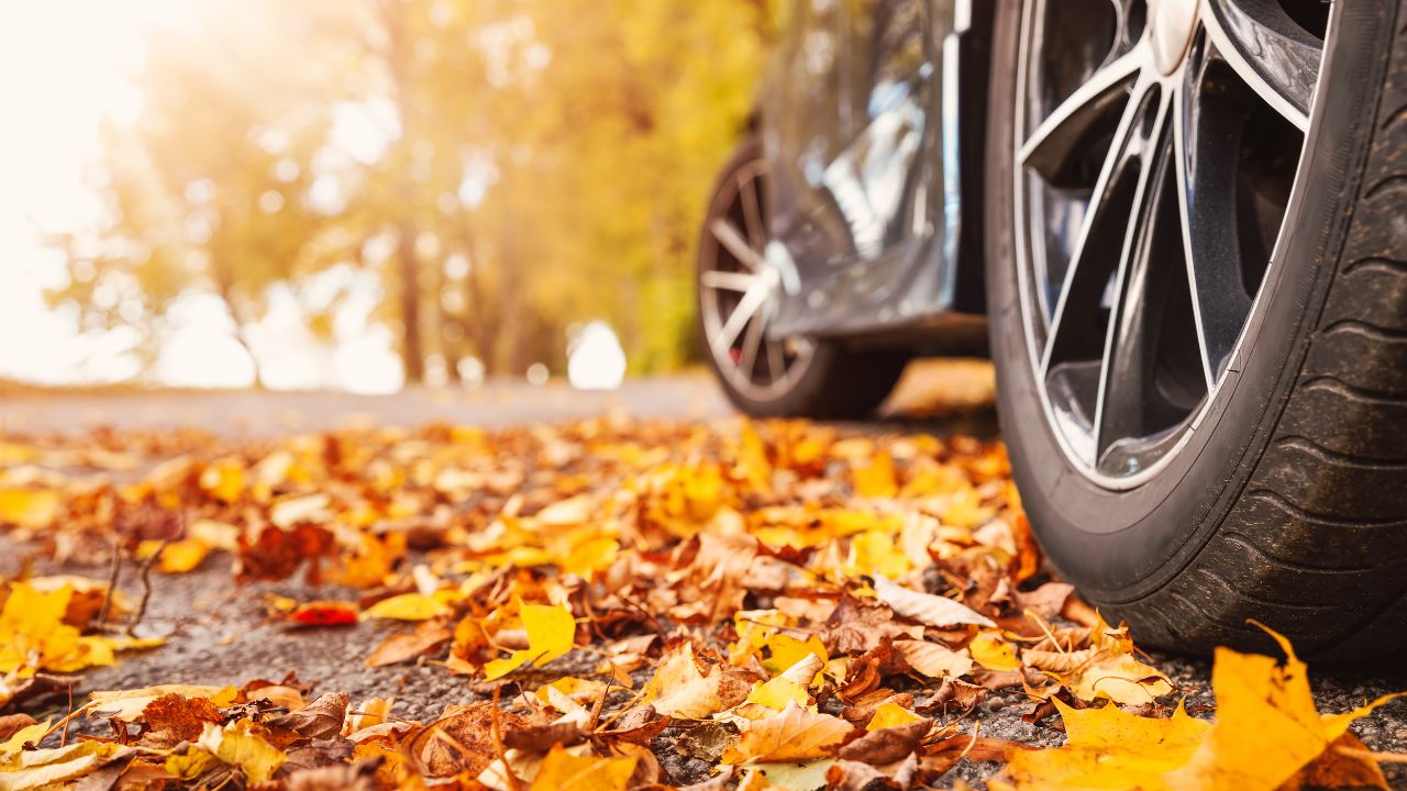 How to Wash Your Car In The Fall