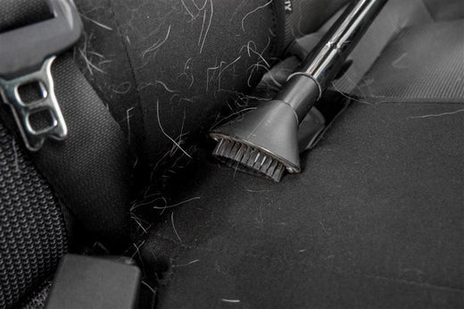 How do I Remove Pet Hair from a Car? - Stoner Car Care
