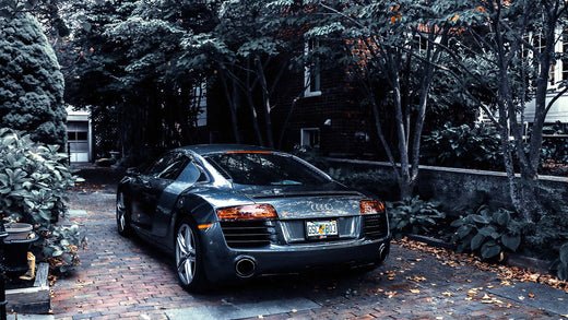 How to Clean Tree Sap Off Your Windshield - Stoner Car Care