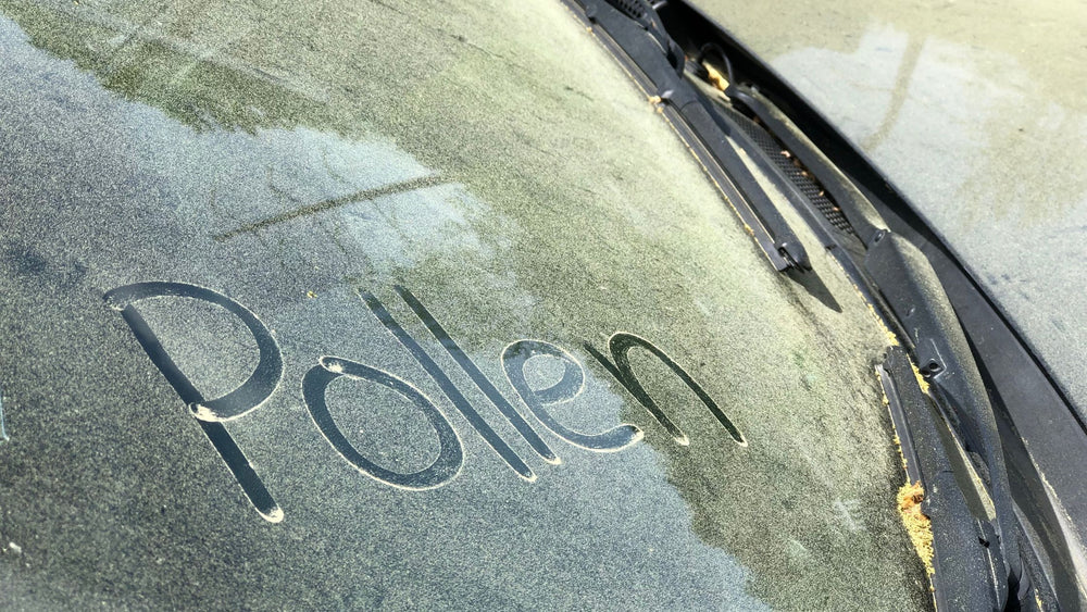 Spring Cleaning for Your Car: Top 3 Tips to Tackle Pollen Like a Pro