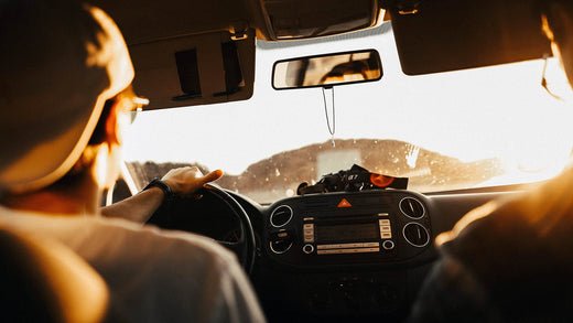 Remove Dead Bugs from Your Windshield - Stoner Car Care