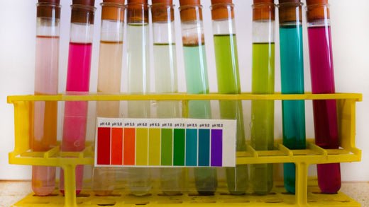 The Importance of pH Scale to Car Cleaning - Stoner Car Care