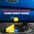 
                    
                      Stoner Car Care Trim Shine (Aerosol) - Stoner Car Care
                    
                  
