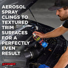 
                    
                      Stoner Car Care Trim Shine Aerosol - Stoner Car Care
                    
                  