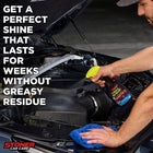 
                    
                      Stoner Car Care Trim Shine (Spray) - Stoner Car Care
                    
                  