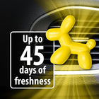
                    
                      Little Pup Air Freshener (Vanilla) - Stoner Car Care
                    
                  