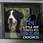 
                    
                      Little Pup Air Freshener (Ocean Splash) - Stoner Car Care
                    
                  