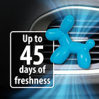 
                    
                      Little Pup Air Freshener (Blue Raspberry Slushy) - Stoner Car Care
                    
                  