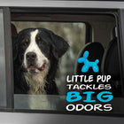 
                    
                      Little Pup Air Freshener (Blue Raspberry Slushy) - Stoner Car Care
                    
                  