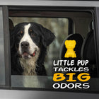 
                    
                      Little Pup Car Air Freshener (Vanilla) - Stoner Car Care
                    
                  