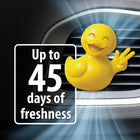 
                    
                      Little Duck Air Freshener (Spring Rain) - Stoner Car Care
                    
                  